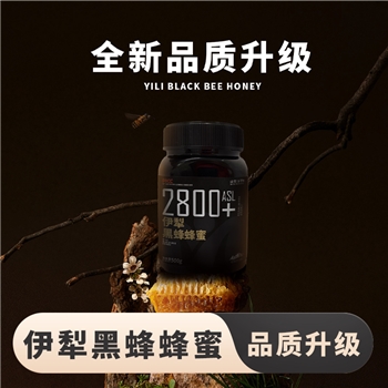 新疆伊犁黑蜂蜂蜜500g*2瓶 纯正天然蜂巢筑蜜营养丰富山花蜂蜜冲饮