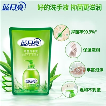 蓝月亮抑菌洗手液500g/袋