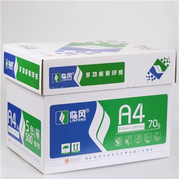 临风复印纸A4 70g*10包/箱