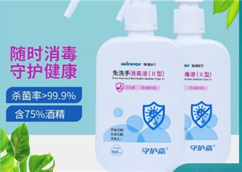 免洗洗手液500ml/瓶 温和清洁家用抑菌洗手液